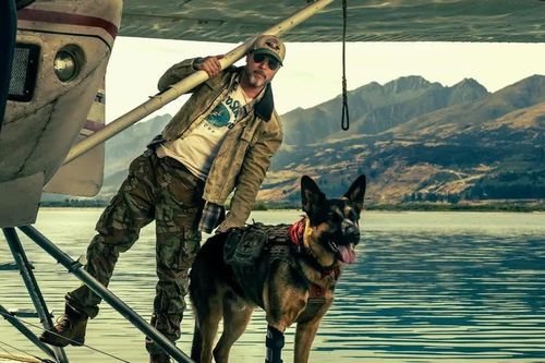 Chú chó cứu hộ chiếm luôn hào quang của Brad Pitt trên màn ảnh Hollywood