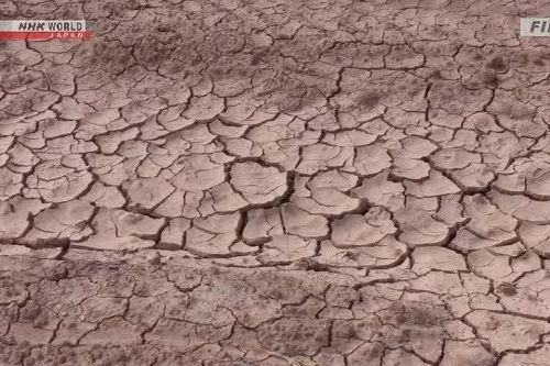 Tổ chức Khí tượng Thế giới dự báo ra sao về hiện tượng El Nino?