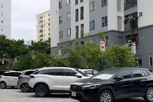 Nhiều mức phạt nặng về vi phạm quản lý nhà chung cư