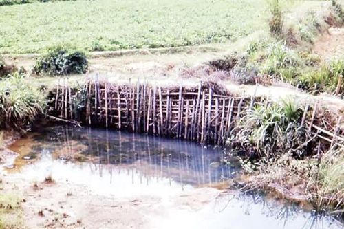 Khoanh vùng tìm mộ tập thể liệt sĩ