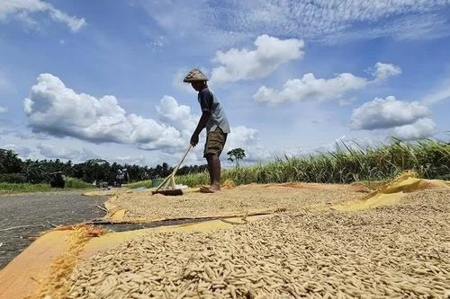 Hiện tượng El Nino mạnh lên nhanh chóng