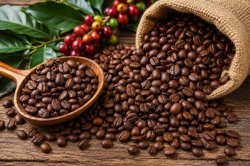 Bản tin nông sản hôm nay (5-9): Giá cà phê giảm, hồ tiêu đi ngang