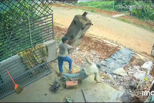 Lâm Đồng: Người đàn ông bị trụ cổng đè tử vong trong lúc sửa chữa