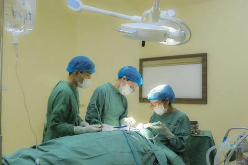 Vết loét nhỏ trên mặt nhiều năm, người phụ nữ phát hiện ung thư da