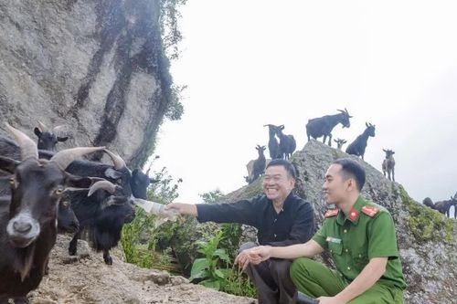 Đổi thay ở Tả Lèng