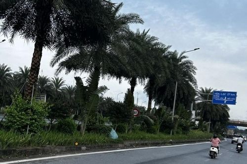 Dự báo thời tiết 10 ngày tới (5-15/9): Các khu vực chiều tối, đêm có mưa, nhiều nơi cục bộ mưa to đến rất to