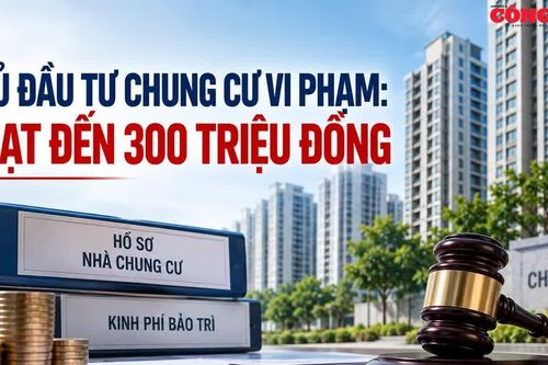 Chủ đầu tư chung cư vi phạm: Phạt đến 300 triệu đồng