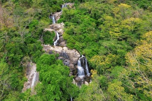 Biến giá trị thiên nhiên thành nguồn lực hỗ trợ du lịch và bảo tồn