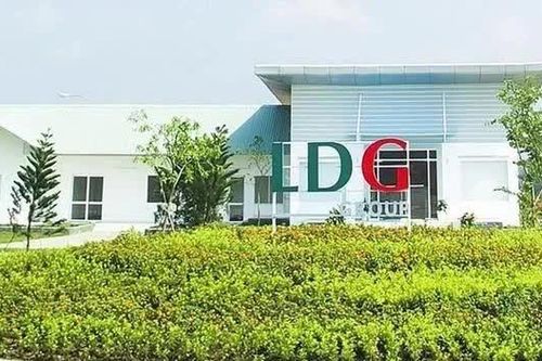 Nhiều doanh nghiệp bị nghi ngờ khả năng hoạt động liên tục