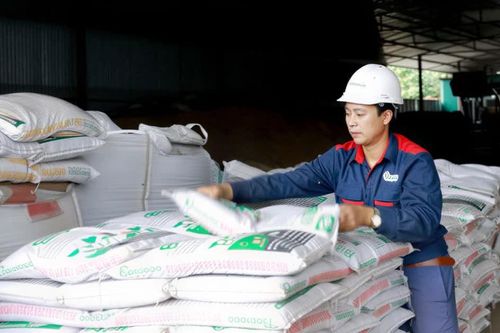 Hàn Quốc, Philippines tăng mua giá cao, xuất khẩu phân bón sắp lập kỷ lục
