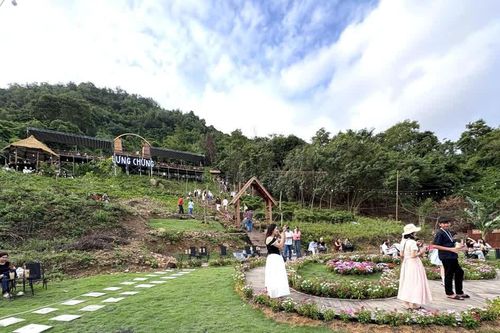An Giang phạt hai chủ quán cà phê nổi tiếng