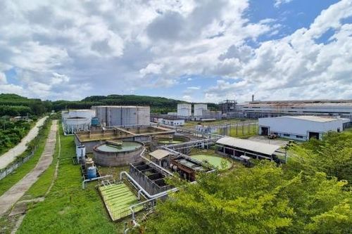 BSR-BF tìm kiếm đối tác phát triển và kinh doanh tín chỉ carbon