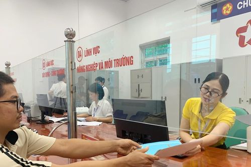 Cách tính 4 năm công tác liên tục để bổ nhiệm chánh văn phòng cấp xã