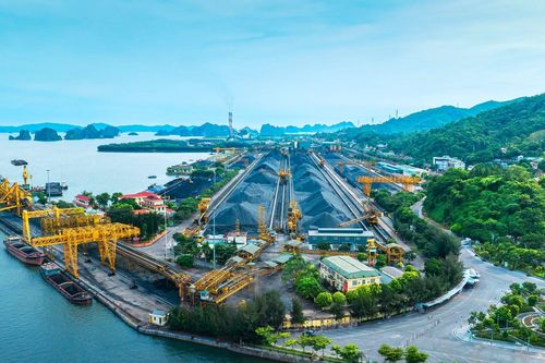 8 tháng, TKV đạt doanh thu khoảng 125.000 tỷ đồng