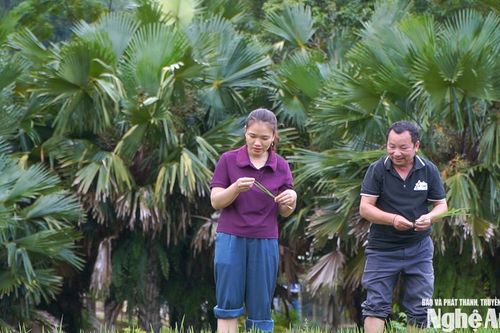 Nữ Bí thư bản vùng cao và hành trình 'đưa nghị quyết ra đồng'