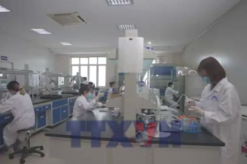 Vaccine made in Việt Nam lập thêm kỳ tích mới