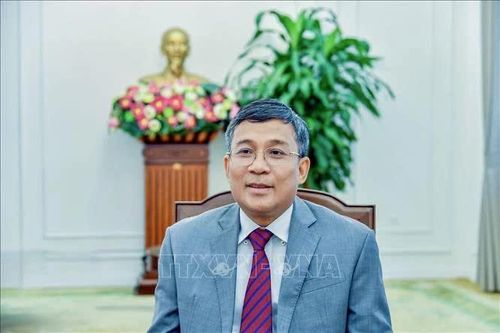 Tiếp tục đưa quan hệ Việt Nam với Hàn Quốc, Mông Cổ phát triển ngày càng thực chất, hiệu quả