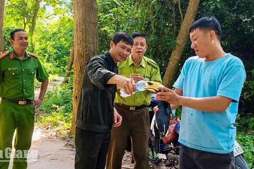 Thả cá thể Cao cát bụng trắng quý hiếm về rừng phòng hộ Núi Cấm