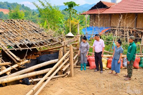 Tín dụng chính sách - Điểm tựa để phụ nữ nghèo vươn lên