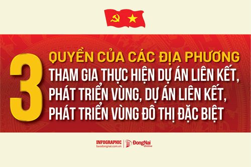 [Infographic] Luật Phát triển đô thị: Các địa phương tham gia thực hiện dự án liên kết, phát triển vùng, dự án liên kết, phát triển vùng đô thị đặc biệt có các quyền ra sao?