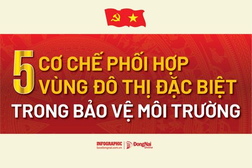 [Infographic] Luật Phát triển đô thị: 5 cơ chế phối hợp vùng đô thị đặc biệt trong bảo vệ môi trường