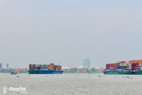 Mực nước sông Đồng Nai vượt báo động 2: Đề phòng ngập lụt ở các khu vực thấp ven sông