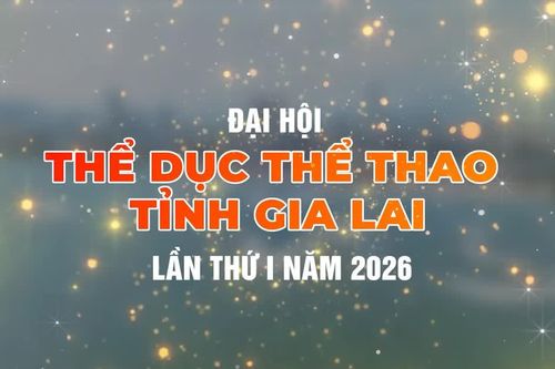 Đại hội Thể dục thể thao tỉnh Gia Lai lần thứ I diễn ra từ ngày 1 đến 15-9-2026