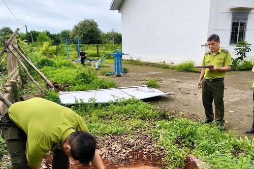 Vụ cưa hạ cây tại trụ sở xã Hbông cũ: UBND xã Ia Hrú chưa thống nhất với báo cáo xác minh