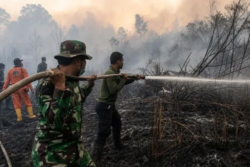 Cháy rừng gây khói mù nguy hiểm khắp Đông Nam Á: Indonesia rải 8.000 kg muối để khống chế đám cháy
