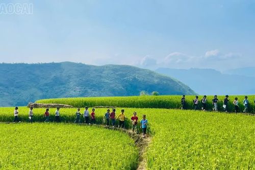 Giữ lớp, giữ ước mơ cho học trò