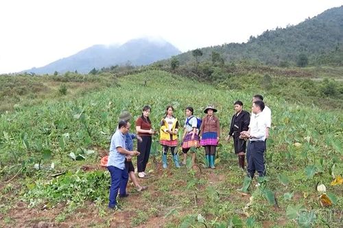 Để “vùng khó” không còn khó trong phát triển đảng viên