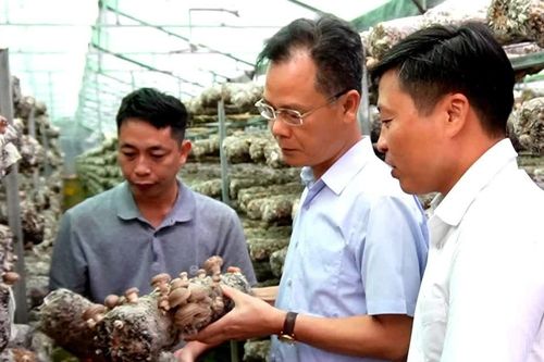 Phó Chủ tịch UBND tỉnh Lào Cai Nguyễn Thành Sinh thăm các mô hình phát triển kinh tế tại Púng Luông