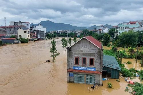 Tin cảnh báo lũ trên sông Đồng Nai ngày 05/09/2026: Mực nước tại trạm Tà Lài vượt báo động 2