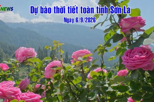 Dự báo thời tiết toàn tỉnh Sơn La ngày 6/9/2026