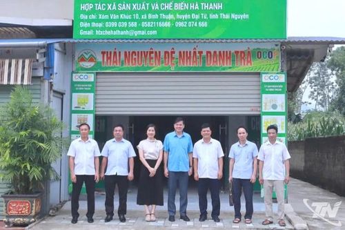 Thái Nguyên có 3 hội viên được vinh danh 'Nông dân Việt Nam xuất sắc 40 năm Đổi mới'