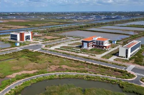 Kỳ cuối: Thanh tra toàn diện, phát huy hiệu quả Khu công nghệ cao tôm Bạc Liêu