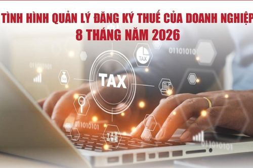 Infographics: Hoàn tất chấm dứt hiệu lực mã số thuế cho 94.991 doanh nghiệp