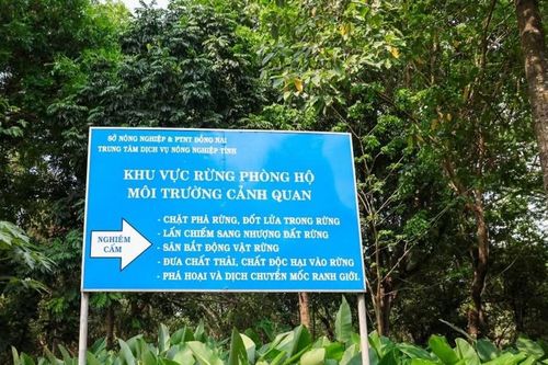 Nâng cao hiệu quả hoạt động Quỹ Môi trường Đồng Nai: Bài toán quỹ đất và trồng rừng thay thế: Thách thức trên hành trình xanh hóa Đồng Nai