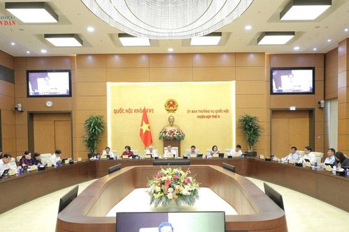 Theo dõi sát việc ban hành nghị định, thông tư của các cơ quan Chính phủ