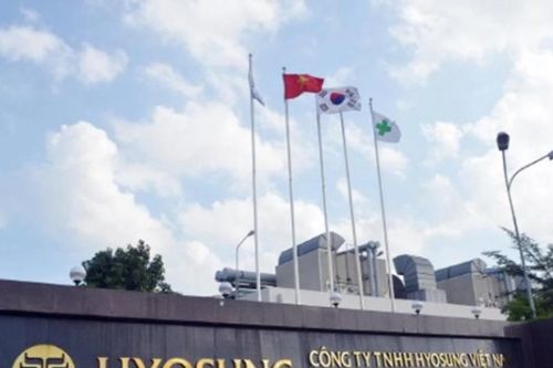 Vốn hơn 30.000 tỷ, lỗ lũy kế 21.566 tỷ: Hyosung Vina bắt đầu có lãi