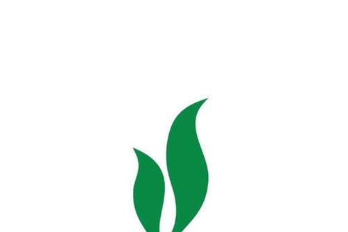 Chứng khoán Dầu khí (PSI) tất toán lô trái phiếu 50 tỷ đồng, chuẩn bị thay ghế Chủ tịch HĐQT