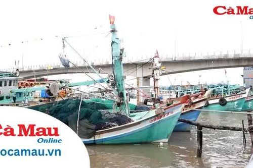 Chủ động đảm bảo an toàn cho từng chuyến tàu ra khơi