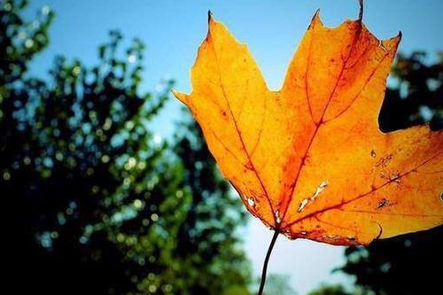Bị hỏi lương tháng bao nhiêu, nhớ kỹ 3 câu giúp bạn đáp lời vừa khôn khéo vừa tinh tế