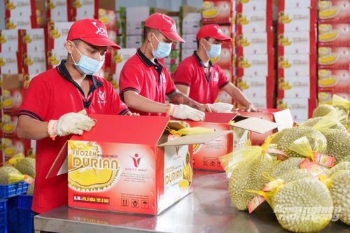 5 giải pháp đưa xuất khẩu sầu riêng hướng tới mốc 4 tỷ USD