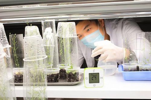 Từ 15/10, 11 nhóm vị trí lĩnh vực khoa học, công nghệ phải định kỳ chuyển đổi