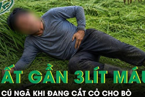 Đang cắt cỏ cho bò, người đàn ông ngã một cú mất gần 3 lít máu