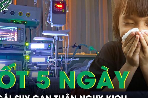 Sốt 5 ngày mới nhập viện, bé gái suy gan thận nguy kịch
