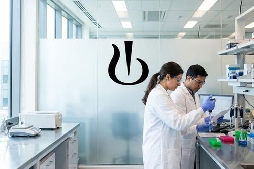 Novartis thất bại trong thử nghiệm thuốc ngừa đột quỵ thế hệ mới