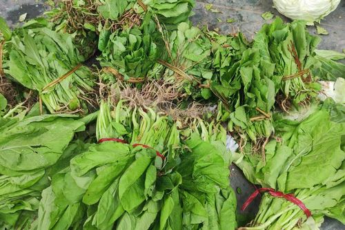 Giá rau xanh Hà Nội tăng sau kỳ nghỉ lễ