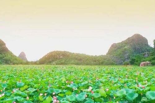 Hà Nội chuyển mình xây dựng nông thôn mới giai đoạn 2026-2030